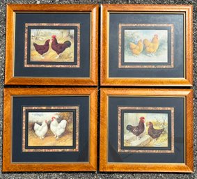 A Series Of 4 Beautifully Framed Vintage Chicken Prints