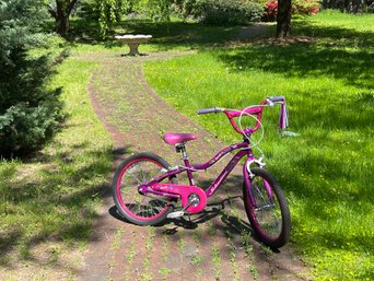 Schwinn Deelite Girls Bike