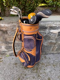 Golf Club Set For Men & Boys - Lion's Golf Bag Plus 8 Clubs - Ram, Ping, TaylorMade, Rosa