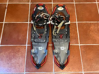 Pair Of Snowshoes