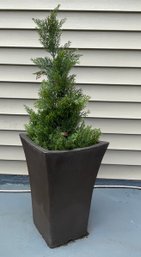 Faux Realistic Juniper In Brown Planter