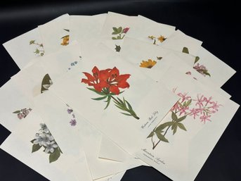 A Set Of Vintage Botanical Prints, 18 Total