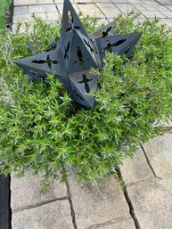 Large Potted Perennial With Metal Art