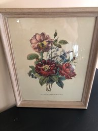 16 X 20 Professional Framed Floral Pictures/ Rose De Provins, Rose De Pengale, Rose Blanche Et Veronique