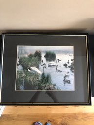 20 3/4' X 17' Carol Nokes Transport 'Swans In Magnolia' Framed Photo