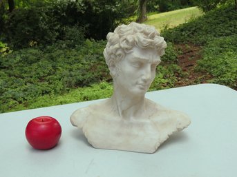 Bust Of David Or Similar Greek / Roman Figure In Plastic