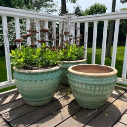 A Collection Of 3 Glazed Ceramic Planters With Sedum