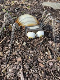 Charming Garden Spider With Glittery Legs