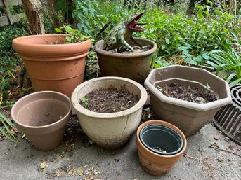 Frog Watering Can & Planter Pots: Ceramic, Terracotta & Plastic