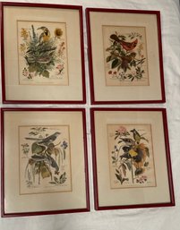 4 Arthur Singer Prints Series 1, 4, 6 & 7 Birds And Flowers 14x17 Matted Framed