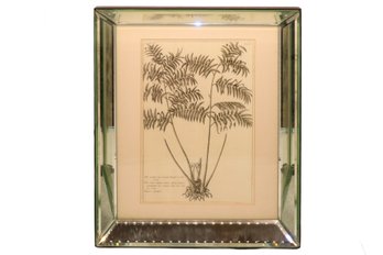 Botanical Art Collection