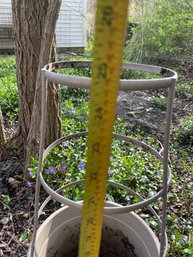 Tomato Pot With Trellis