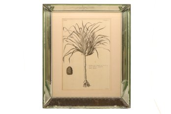 Beautiful Botanical Art Collection