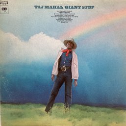 Taj Mahal ~ Giant Steps & De Old Folks At Home Double Album Set On Columbia Records