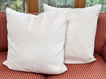 A Pair Of Throw Pillows By Pottern Barn