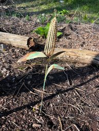 Metal Garden Art On Stake - Stalk Of Corn