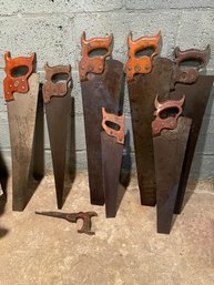 Collection Of  8 Vintage Hand Saws. Disston, Superior ,viking And Others.