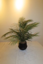 -Faux Potted Palm, 25 Tall, Pot Is Ceramic, 6.5 Tall, 7 Wide