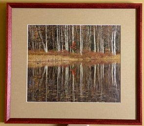 Framed Photograph By Katherine Griswold