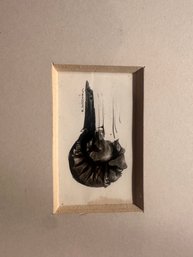 Intriguing Vintage Framed Shell Or Fossil