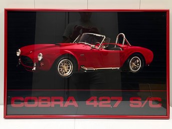 A VIntage Cobra Print