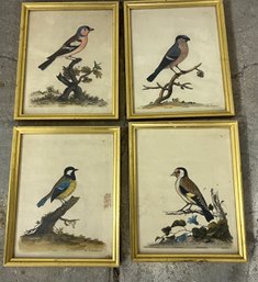 Four Framed Aviary Prints