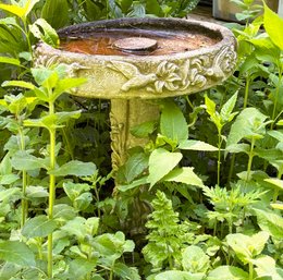 A Lovely Cast Stone Birdbath