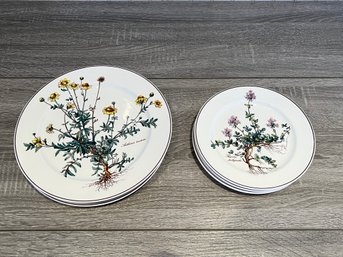 Set Of 7 Villeroy And Boch Botanica Plates