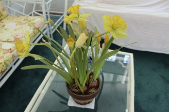 24 In Artificial Daffodils