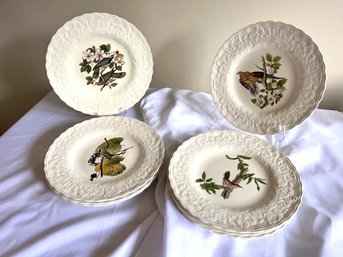 Set Of 9 Dinner Plates - Alfred Meakin - England (DR)