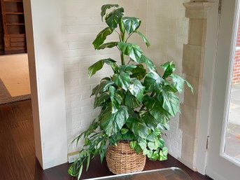 Faux 5- Foot Epipremnum Pinnatum Plant In Woven Basket