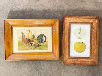 Vintage Prints - Roosters And Apples In Pine Frames