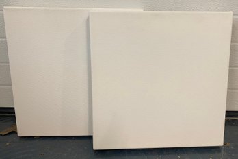 Two Blank Canvases