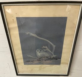 Framed, Numbered, And Signed Owl Charles Johnston