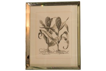 Botanical Art Collection Edizioni Ponte Vecchio With Seal