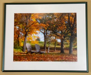 Framed Photograph By Katherine Griswold