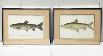 A Pair Of Vintage Lithographs, Signed Denton