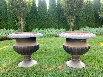 PAIR Large Classic Iron Planters