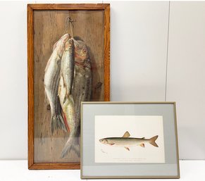 Vintage Denton And More Fish Themed Lithographs