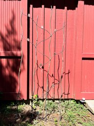 A Wrought Iron Plant Trellis/Support