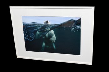 Arctic Majesty: Polar Bear Underwater Photographic Framed Art