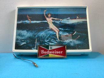 Budweiser Lighted Photo Box #2