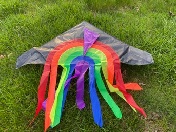 56 Inch Wing Kite With Colorful Tassels Made By Go Fly A Kite  E. Haddam CT