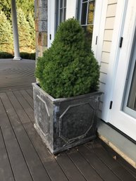 Huge / Very Large English Style Planter With Tree - Just The Planter Measures 25' X 25' X 25' - WOW !