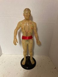 Vintage Medical Skeleton Statue