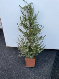 Faux Flocked Evergreen In Pot 36' Tall!