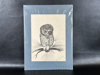 A Vintage Drawing Of An Owl By Jane Harnedy, Matted