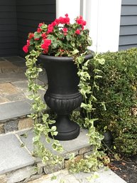 Large Planter Pot With Flowers #1