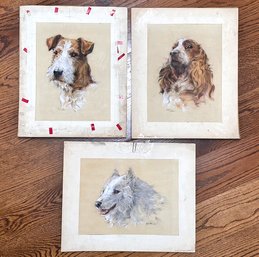 A Series Of 3 Original Antique Canine Themed Pastels, Signed Ria, Possibly Dutch.