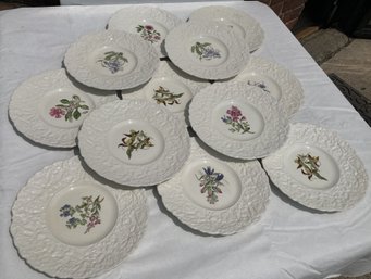Grouping Of 12 Vintage/ Antique ROYAL COULDON 'WOODSTOCK' Ironstone Dinner Plates- Botanical Decoration